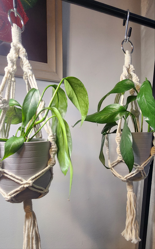 Macrame Potted Plant Hangers