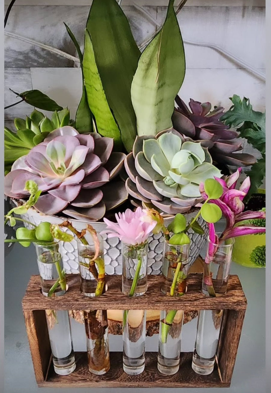 Propagation Tips