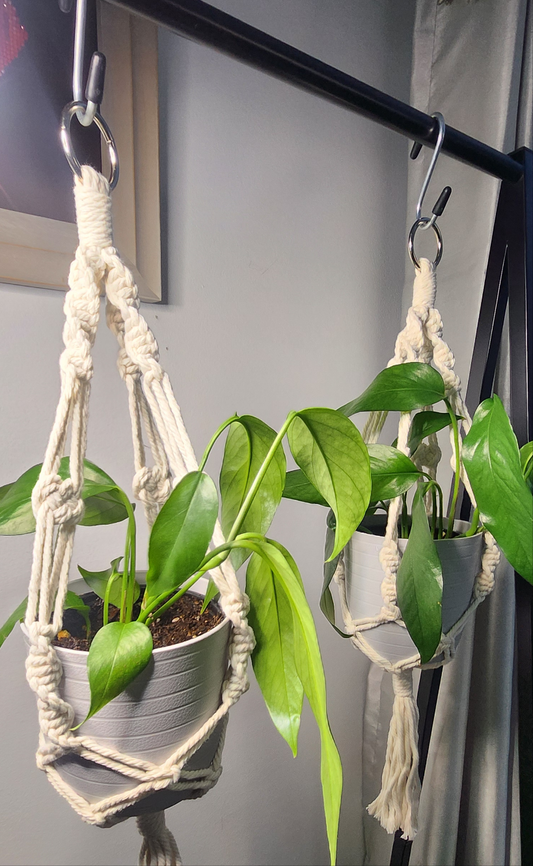 Macrame Potted Plant Hangers